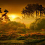 bg_sunrisel