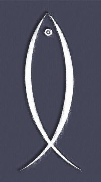 vulva2